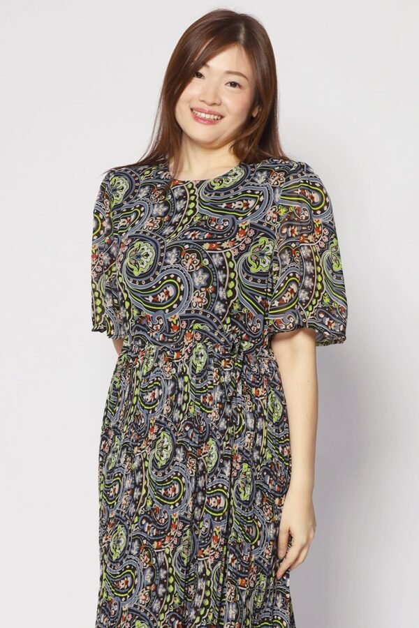 Annie Dress in Black Pastures - Image 2