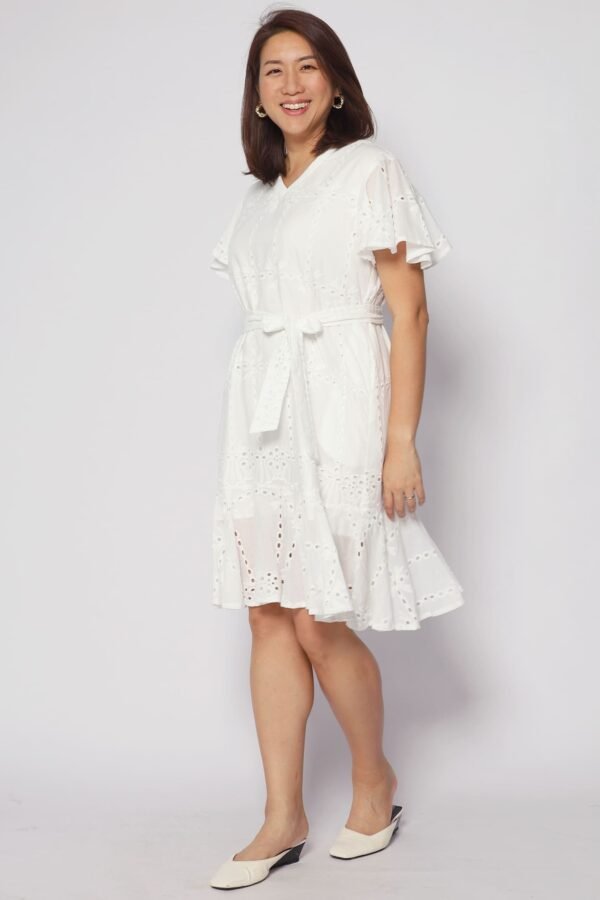 Ellie Eyelet Crochet Dress - Image 3
