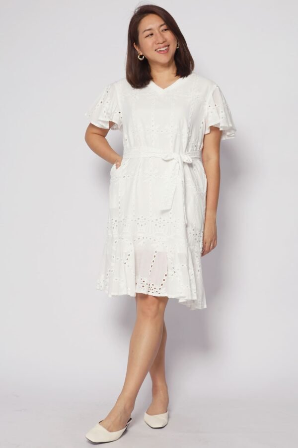 Ellie Eyelet Crochet Dress - Image 4