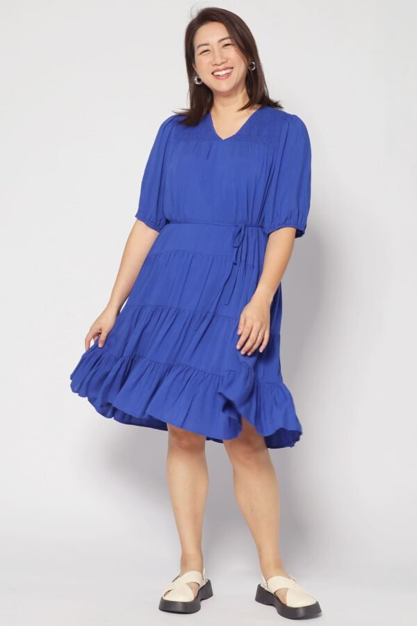 Melbourne Dress in Cobalt Blue - Image 3