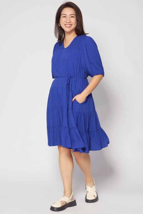 Melbourne Dress in Cobalt Blue - Image 5